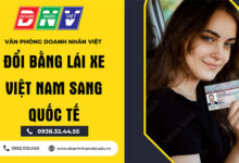 Đổi bằng lái xe Việt Nam sang quốc tế