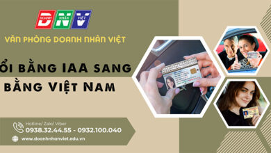 Đổi bằng IAA sang bằng Việt Nam