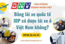 Bằng lái xe quốc tế IDP có được lái xe ở Việt Nam