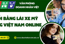 Đổi bằng lái xe nước ngoài sang Việt Nam online