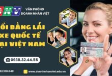 Đổi bằng lái xe quốc tế tại Việt Nam