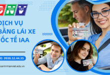 Dịch vụ đổi bằng lái xe quốc tế IAA