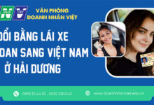 Đổi bằng lái xe Đài Loan sang Việt Nam ở Hải Dương