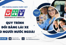 Quy trình đổi bằng lái xe cho người nước ngoài