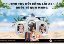 Thủ tục đổi bằng lái xe quốc tế qua mạng