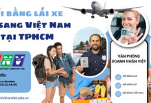 Đổi bằng lái xe Mỹ sang Việt Nam tại TPHCM
