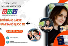 Phí đổi bằng lái xe Việt Nam sang quốc tế