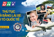 Thủ tục đổi bằng lái xe ô tô quốc tế