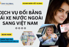 Dịch vụ đổi bằng lái xe nước ngoài sang Việt Nam