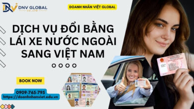 Dịch vụ đổi bằng lái xe nước ngoài sang Việt Nam
