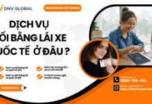 Dịch vụ đổi bằng lái xe quốc tế ở đâu ?