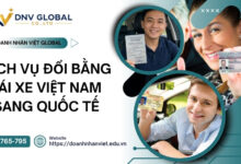 Dịch vụ đổi bằng lái xe Việt Nam sang quốc tế