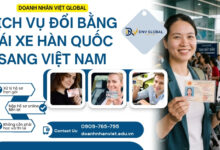 Dịch vụ đổi bằng lái xe Hàn Quốc sang Việt Nam
