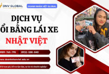 Dịch vụ đổi bằng lái xe Nhật Việt