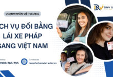Dịch vụ đổi bằng lái xe Pháp sang Việt Nam
