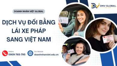 Dịch vụ đổi bằng lái xe Pháp sang Việt Nam