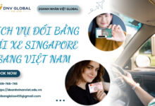 Dịch vụ đổi bằng lái xe Singapore sang Việt Nam