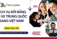 Dịch vụ đổi bằng lái xe Trung Quốc sang Việt Nam